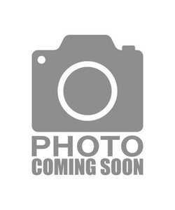 Rebel 2RS 4.5Gal with Vittorazi Moster 185+ Pull Start MY22